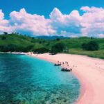 Pantai-Pink-Salah-Satu-Pantai-Unik-Di-Pulau-Lombok-yang-Sangat-Sayang-Untuk-Dilewatkan.jpeg